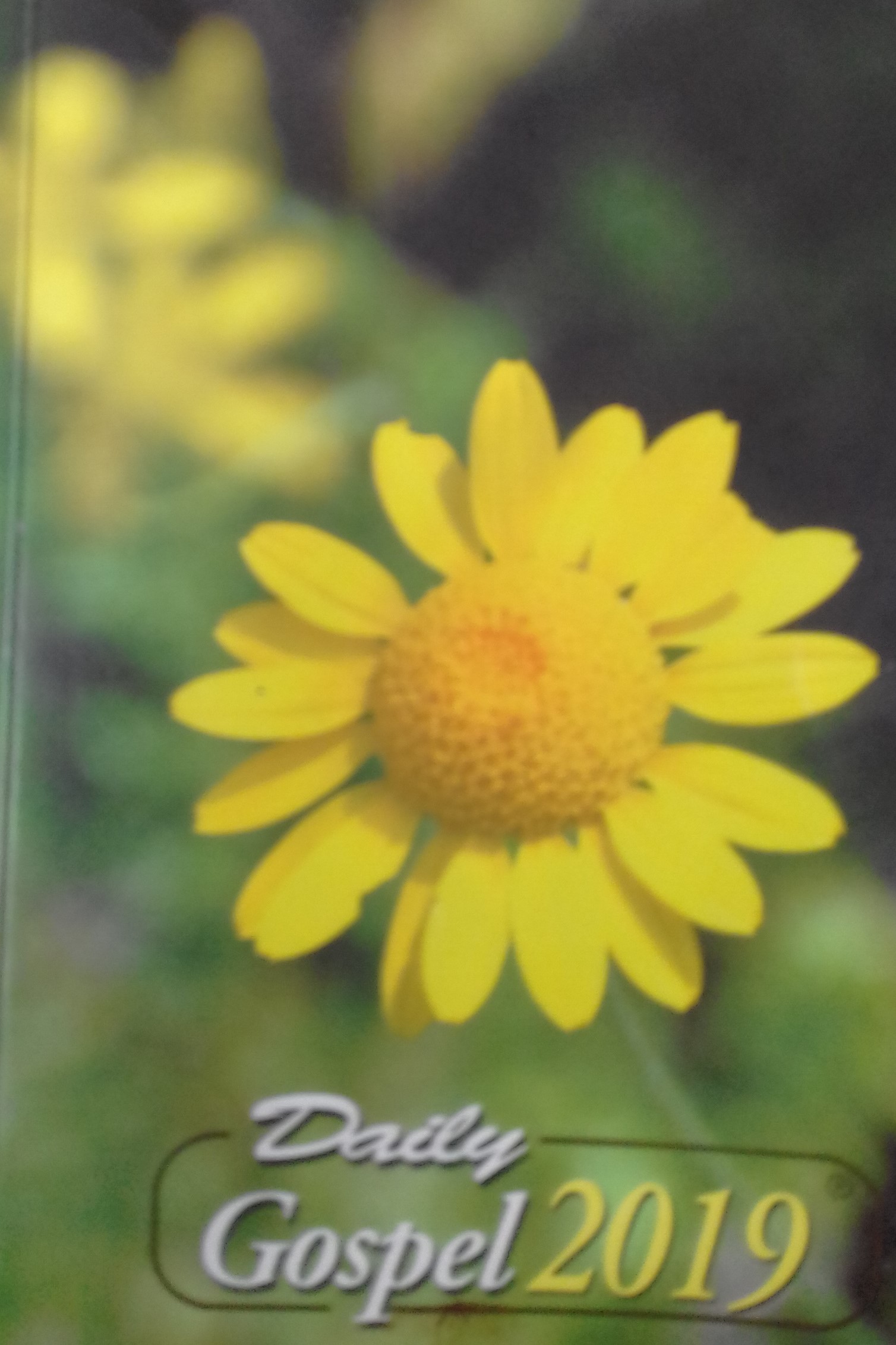 Suster FCJM Indonesia